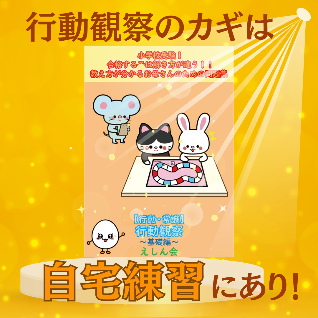 【行動・常識】行動観察問題集 | 自宅で練習・対策ができる |小学校受験問題集　 自宅学習専用教材のえしん会